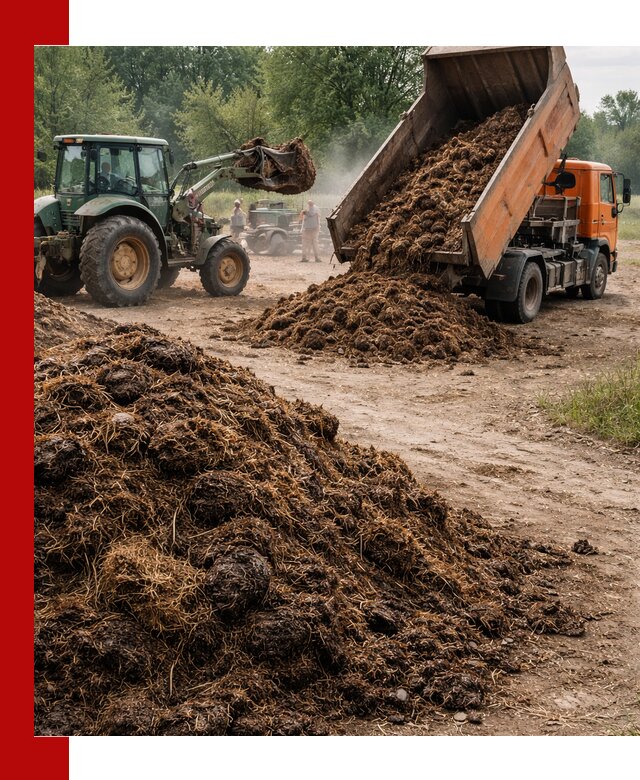 Доставка навоза самосвалами в Беслане для сельхозпотребностей